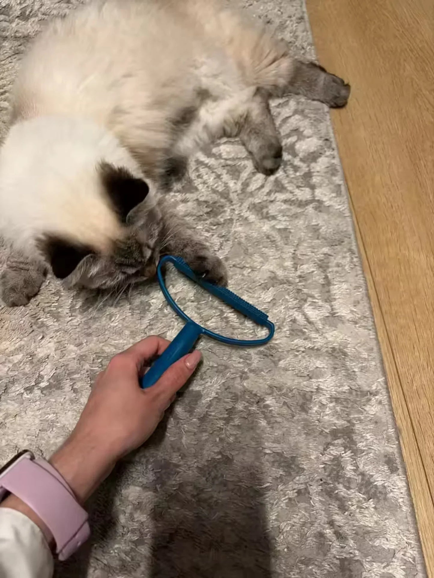 ComfyNook Pet Hair Remover