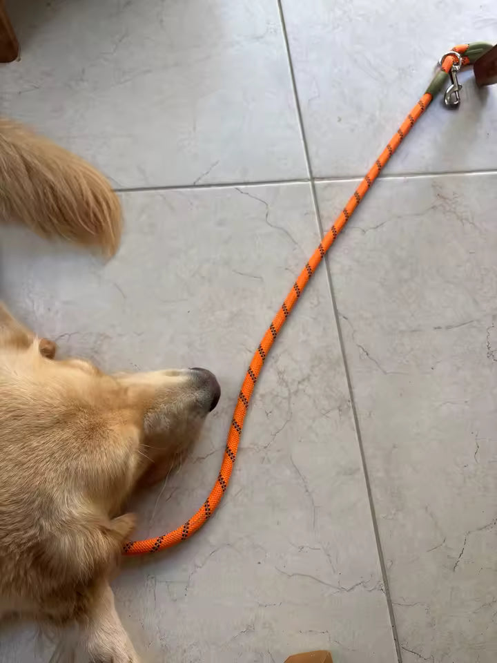 ComfyNook Hands Free Dog Leash