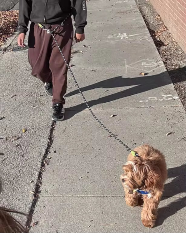 ComfyNook Hands Free Dog Leash