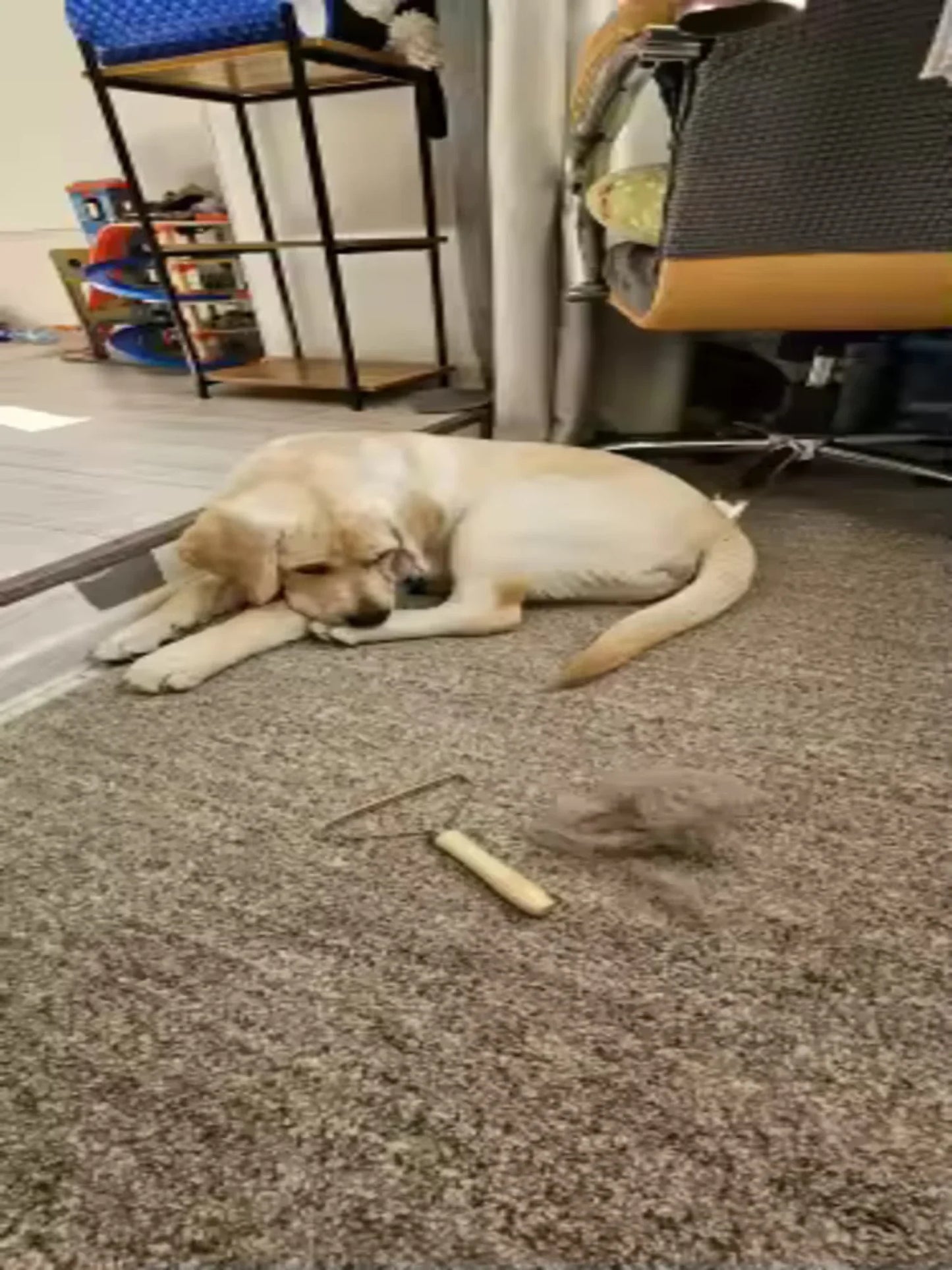 ComfyNook Pet Hair Remover