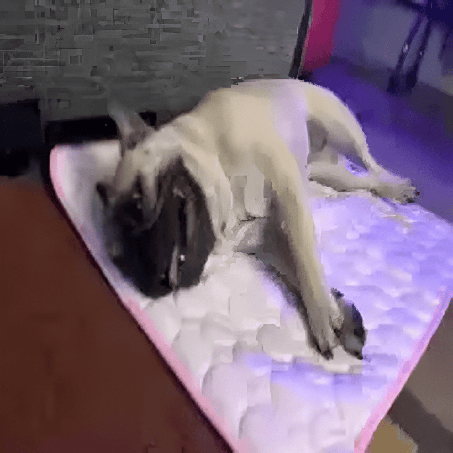 ComfyNook Cat and Dog Cooling Mat - YourComfyNook